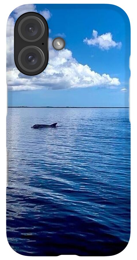 Tranquil Waters with Dolphin - Phone Case