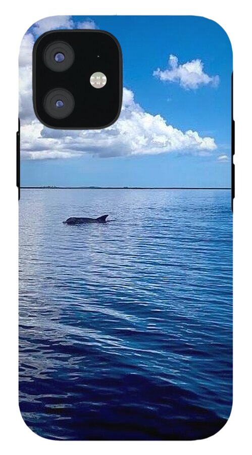 Tranquil Waters with Dolphin - Phone Case