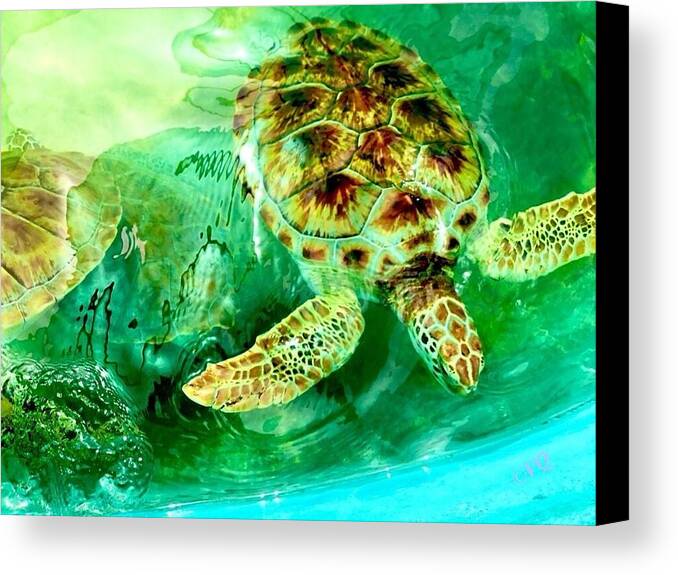 Turtles in Vibrant Waters - Canvas Print