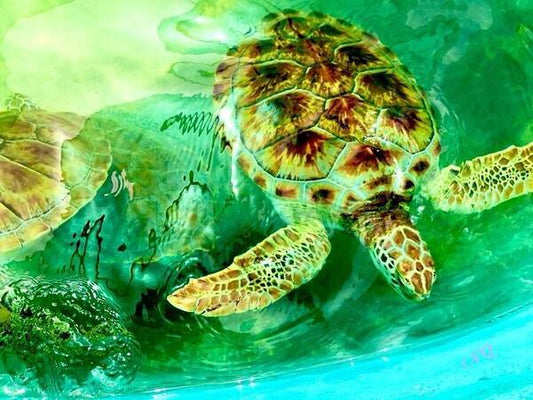 Turtles in Vibrant Waters - Art Print